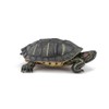 PAPO Florida Jewellery Turtle