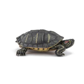 PAPO Florida Jewellery Turtle