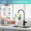 EKRTE Matte Black Drinking Water Faucet for Kitchen Sink, Brass
