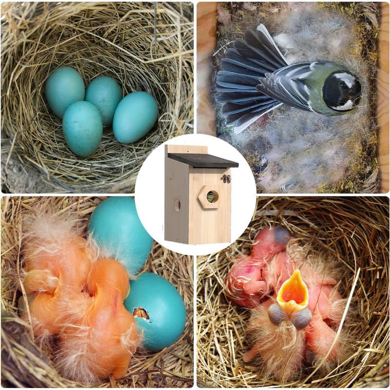 Set of 2 Nesting Boxes for Wild Birds, Nesting Boxes