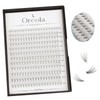 Oreola 10D Individual Eyelashes, Reusable False Eyelashes, 228 Pieces, Individual