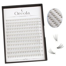 Oreola 10D Individual Eyelashes, Reusable False Eyelashes, 228 Pieces, Individual Eyelash Clusters for DIY Eyelash Extensions at Home, 0.07 C 8-15 mm Individual Eyelashes for Beginners