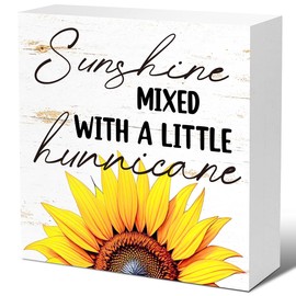 LVQHI Sunshine Mixed With A Little Hurricane Sign, Inspirational Office Wood Box Sign Shelves Decor, Motivational Office Desk Tabletop Shelf Decoration, 5"L x 5"W x 1.2"H Inches, Employee Gift