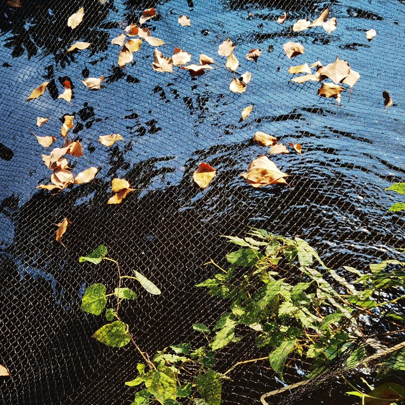 Meanchen Pond Netting 15 X 20 FT,Pond Netting for Leaves,Pond