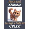 Generic Ginger Cat Kitten funny flexible fridge magnet gift