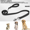 Dog Leash 6 FT, Double Sided Reflective Dog Leash with