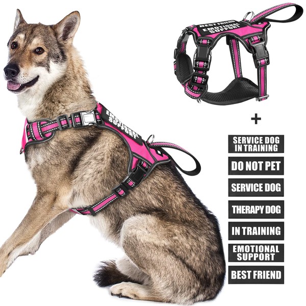 WINSEE Service Dog Vest No Pull Dog Harness with 7