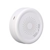 Combustible Gas Detector for Home Smart Safety Natural Gas Leakage
