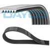 Dayco 6pk1041pm