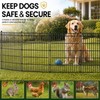 No Dig Garden Fence, Dog Fencing Outdoor for Yard, 5