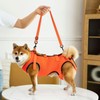 GIIPET-Dog Nursing Harness, Walking Assistance, Elderly Dogs, Injuries, Nursing Supplies,