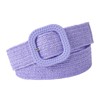 Cinturón Elástico Tejido, Púrpura 95 x 4 cm moda Cinturon