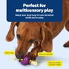 PetSafe Busy Buddy Bouncy Bone Dog Toy, Small