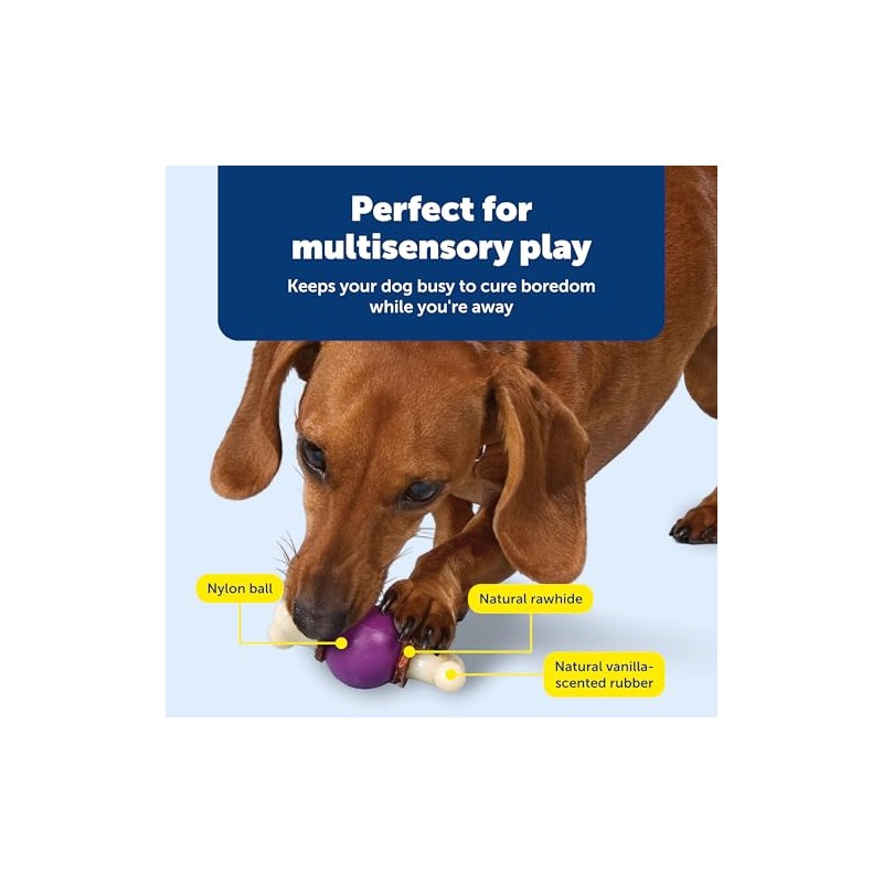 PetSafe Busy Buddy Bouncy Bone Dog Toy, Small