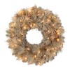 Puleo International 24" Battery-Operated Pre-Lit Tan Wreath with 35 Warm