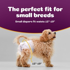 Inspire Pet Care Dog Diapers Female | Bulk Value Doggie Diapers for Female Dogs, Incontinence Female Dog Diapers for Heat or Pee Disposable Dog Diapers Female X-Large Dog Diapers (Small (50 Count))