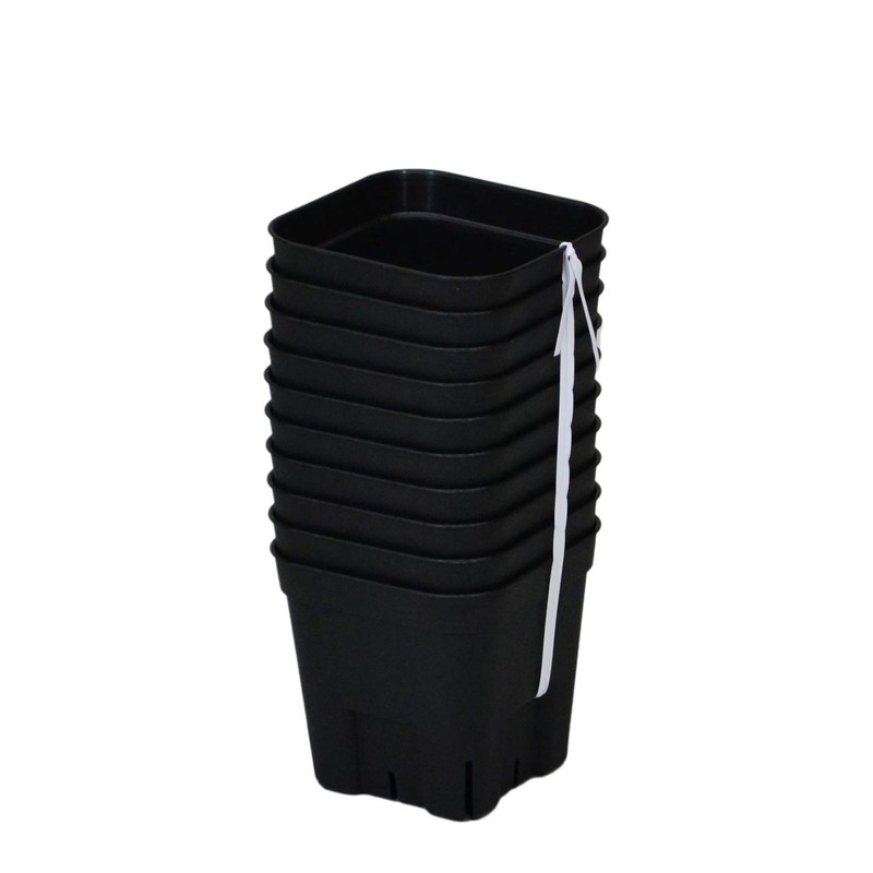 Apple Wear Prestella 90 Type 10 Pairs Black