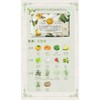 200G HANDBOLLY Pure Plant Oil SkinCare Soap Body Soap Hand