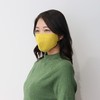 SERAO SRO-NC2 Cotton Mask, 3 Pieces, Japanese Color 2, Spicy,