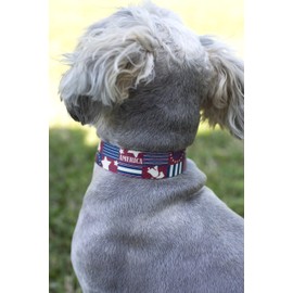 Country Brook Petz - Deluxe Spirit of '76 Dog Collar - Americana Collection Featuring Patriotic Designs (1 Inch, Large)