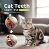 Cat Toys Catnip Mouse Toys for Indoor Adult & Kitten