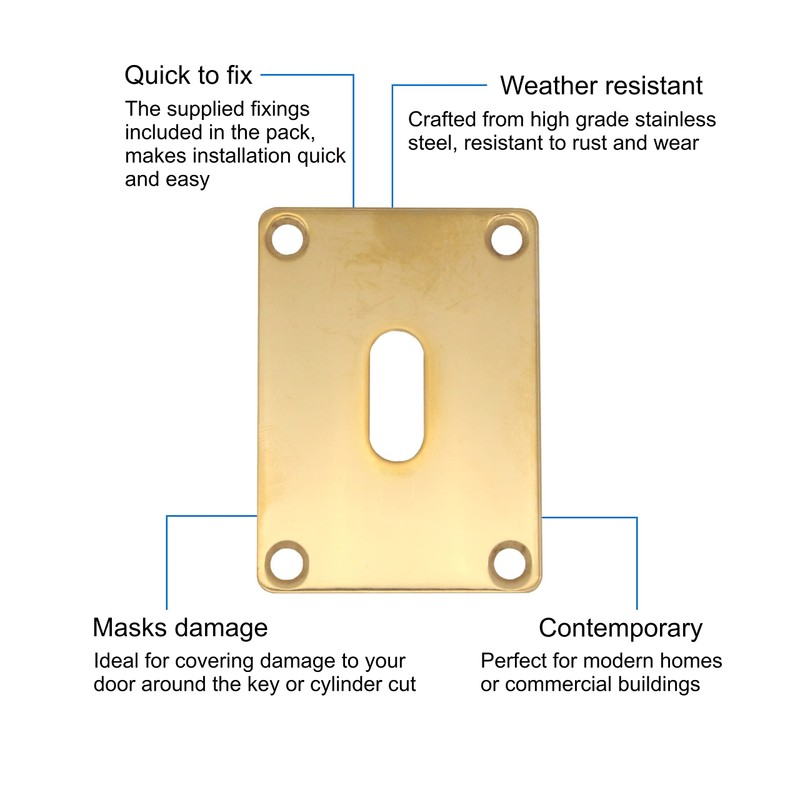 Repair Escutcheon Key Hole Cover Plate Screw Fix Polished Brass