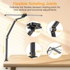Syrinx Desk Lamp, Architect Desk Lamps for Home Office with
