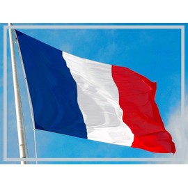 Aricona France Flag 90 x 150 cm, French National Flag with Brass Eyelets, Weatherproof Flag for Flagpole, 100% Polyester