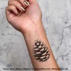 4 x 'Single Pine Cone ' Temporary Tattoos - Water
