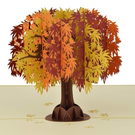 Fall Foliage Canadian Maple Tree Pop Up Greeting Card for Birthday Mothers Day Thanksgiving Party House Warming Graduation All Occasions by Teabug Cards