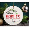 Naples Florida Souvenir Christmas Ornament 2024 Someone in Naples FL