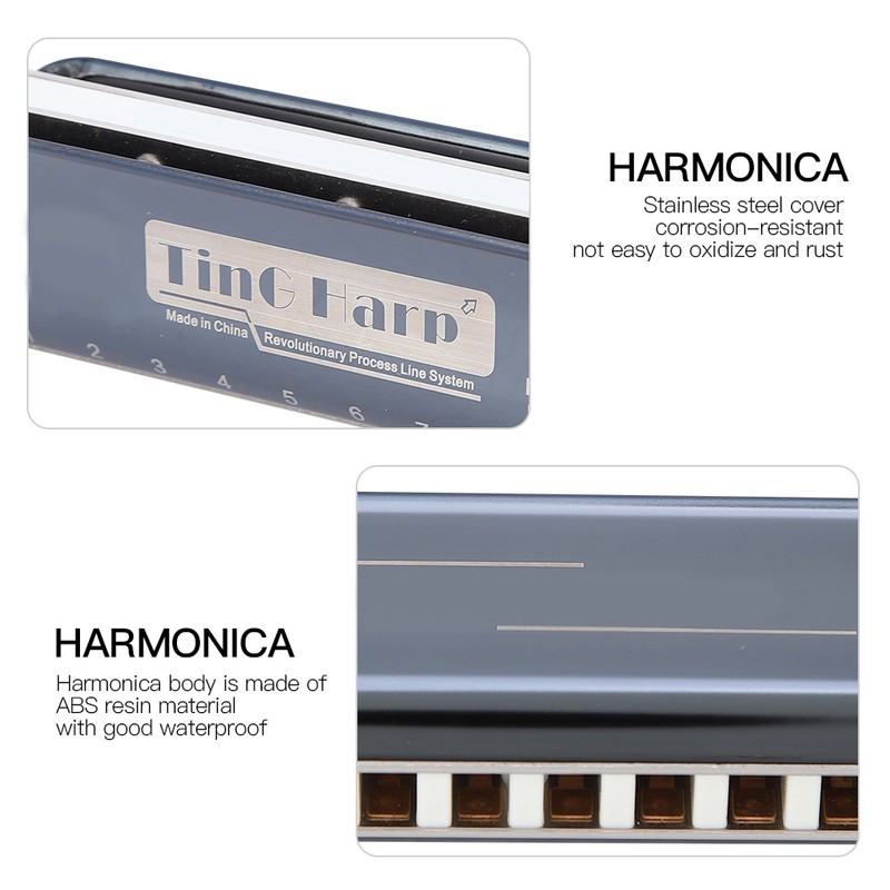 Blues Harp Harmonica 10‑Hole Professional Mouthorgan G Key Gifts Stainless