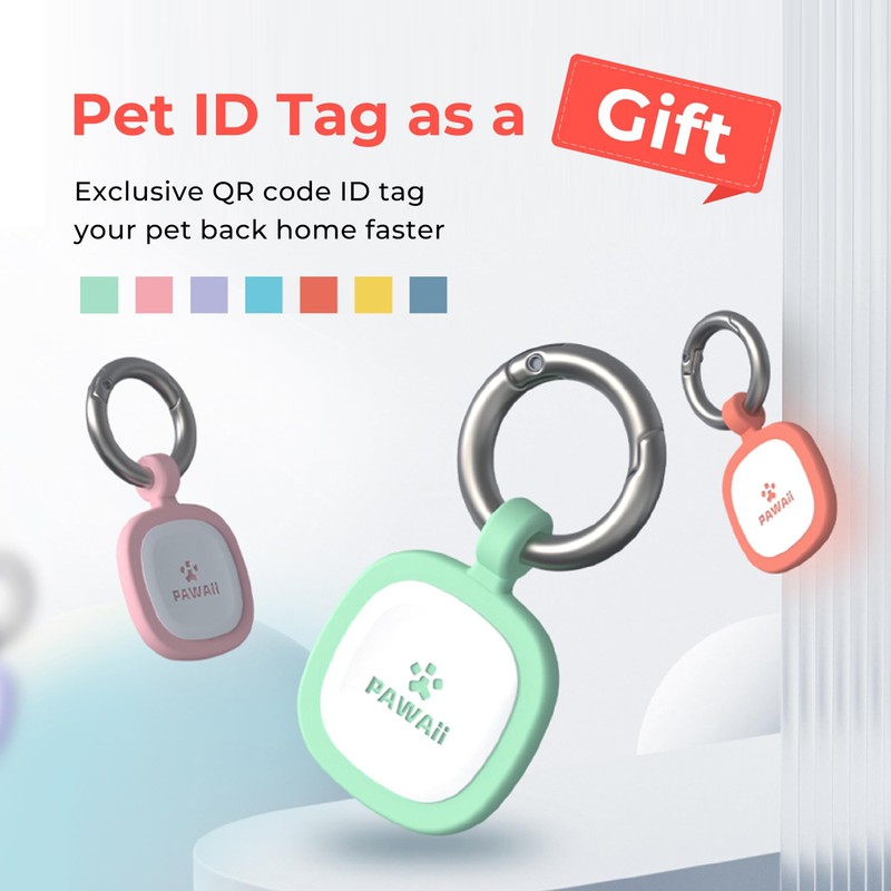 Pawaii Stainless Steel Dog Bowl with Non-Slip Rubber Base &