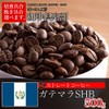 Baisen Kobo Coffee Club Gatemala SHB 17.6 oz (500 g)