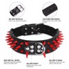 Beirui Heavy Duty Spiked Dog Collar - Stylish PU Leather