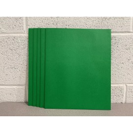 Roaring Springs 2 Pocket 2 Color Pocket Green/Blue Folders #50202 Pack Of 5