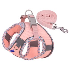 BTDCFY Step in Mesh Dog Harness and Leash Set - Breathable Air Mesh Reflective Escape Proof Vest - No Choke, Lightweight