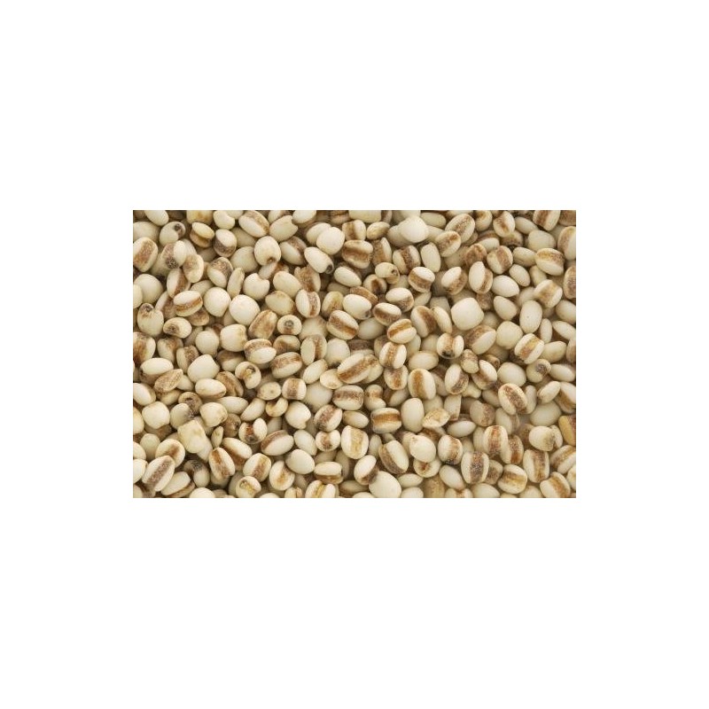Hato Barley, 5.3 oz (150 g), Domestically Produced, Multi-Grain (Round