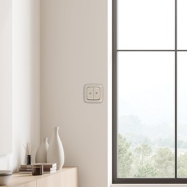 EBROM SET IDEE: BUSCH JÄGER DURO2000 Roller Shutter Switch 2000/4 US (2000/4US) Cream White Glossy Complete Set with Up/Down Arrow Print + EBROM Phase Tester for Mounting