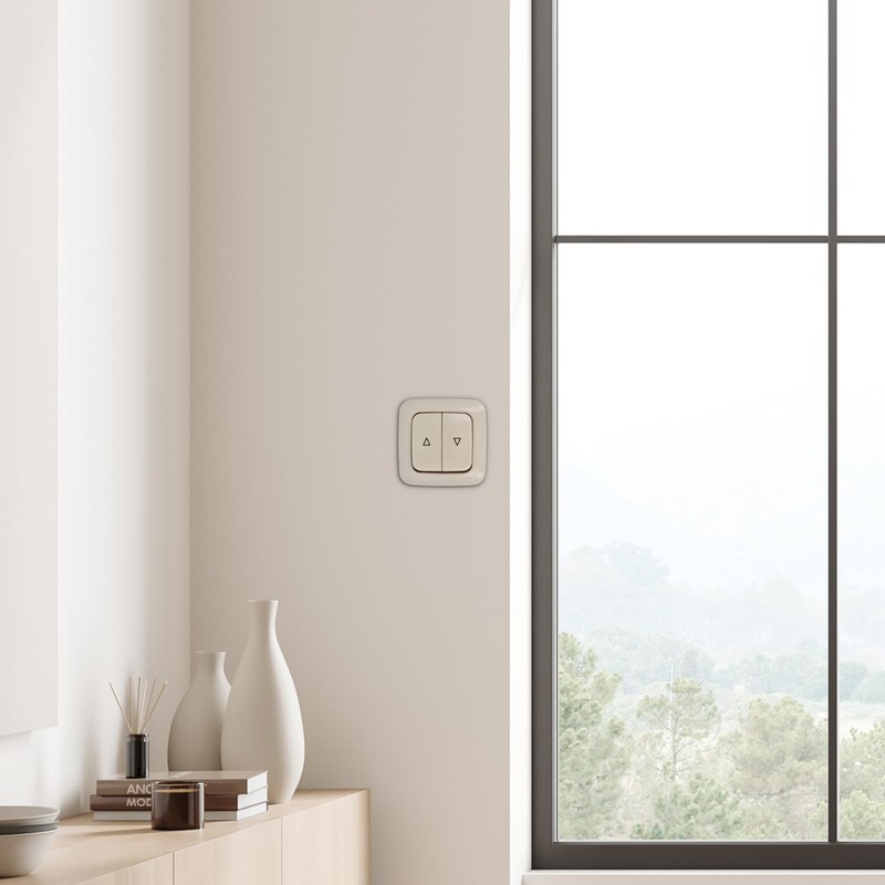 EBROM SET IDEE: BUSCH JÄGER DURO2000 Roller Shutter Switch 2000/4