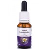 Living Essences Yellow Leschenaultia Flower Essence 50 ml