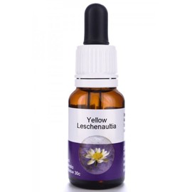 Living Essences Yellow Leschenaultia Flower Essence 50 ml