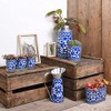 Fallen Fruits Decorative POTS ON Tray, Ideal for Herbs, Metal,
