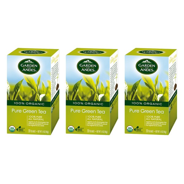 Organic Green Tea, 20 Bags, 3 Per Case