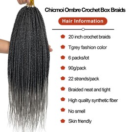 Pre Looped Crochet Box Braids 20 Inch Tgrey Ombre Gray Box Braid Crochet Hair 1/3 Inch Wide Small Crochet Braids Crochet Hair for Black Women (TGrey, 20in 6 packs)