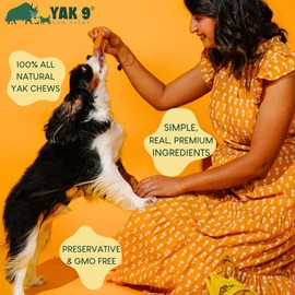 YAK-9 Cheese Dog Chews, High Protein Treats, Natural, Rawhide Free, Long Lasting with Vitamins & Minerals, Medium Size, Honey, 1 PC