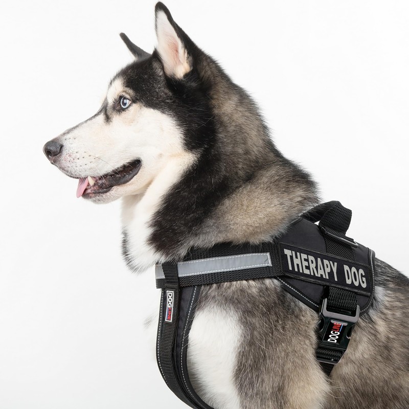 Dogline Vest Harness for Dogs and 2 Removable Therapy Dog