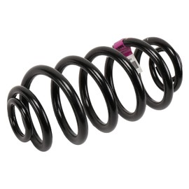 GM Genuine Parts 13312084 Rear Coil Spring , Black