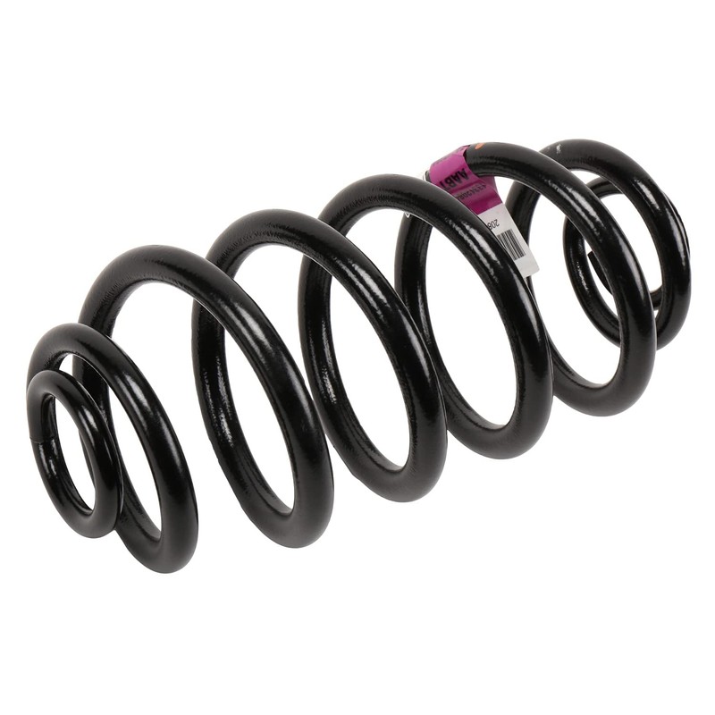 GM Genuine Parts 13312084 Rear Coil Spring , Black
