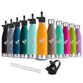 Aorin Vacuum-Insulated Water Bottle, 500 ml, BPA-Free Drinking Bottle, 24 Hours Cool & 12 Hours Warm, Ideal Thermos Flask for Children, School, Sports, Outdoors, Bike, Fitness